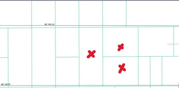 TBD NE 190TH PLACE, Fort Mc Coy, FL 32134
