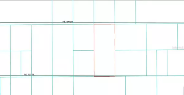 14481 NE 190TH PL, Fort Mc Coy, FL 32134