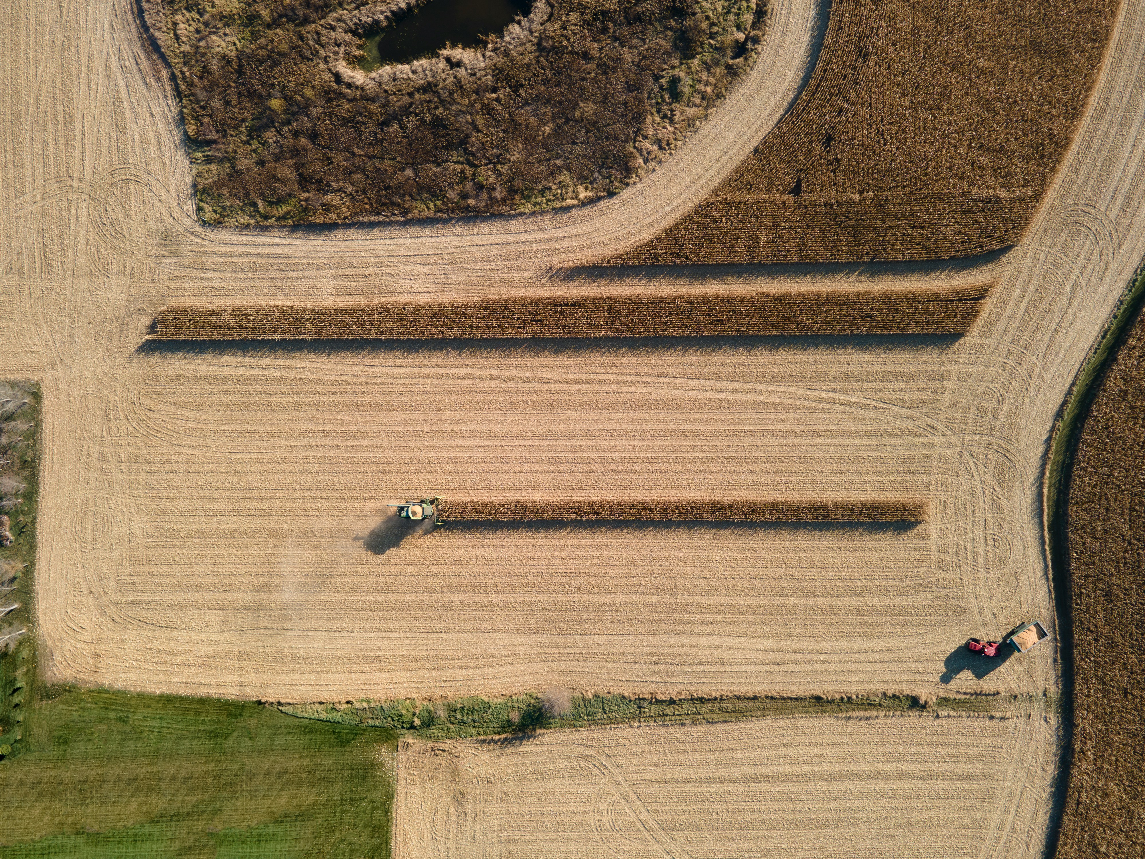 cole-marshall-y-Fnq__izaY-unsplash