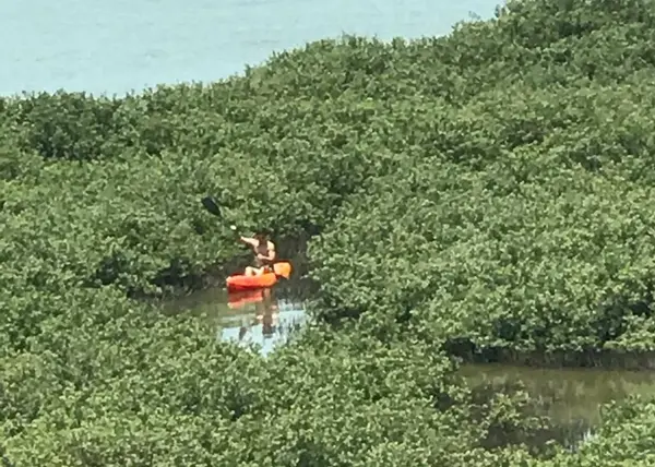 6101 Padre Blvd., South Padre Island, TX 78597