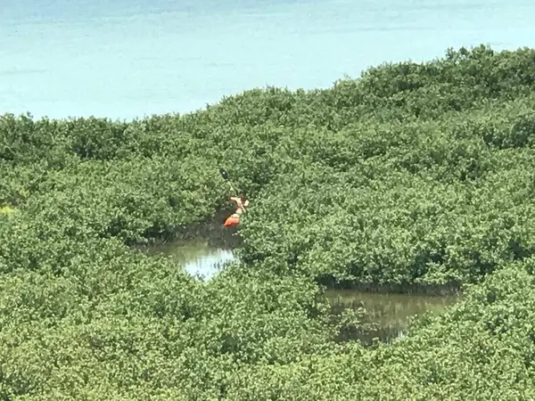 6101 Padre Blvd., South Padre Island, TX 78597