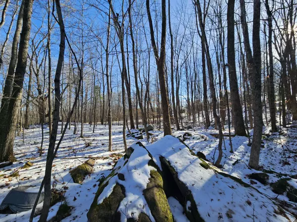 R09-L13-3 Ski Slope RD, Farmington, ME 04938