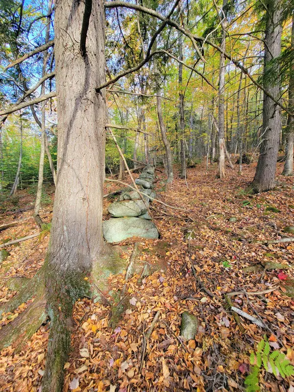 449 Holley RD, Farmington, ME 04938