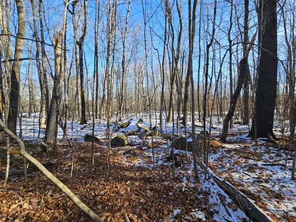 R09-L13-3 Ski Slope RD, Farmington, ME 04938