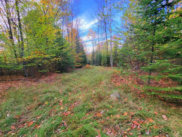 449 Holley RD, Farmington, ME 04938