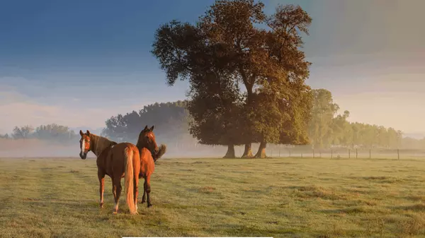 Ocala Seller Services