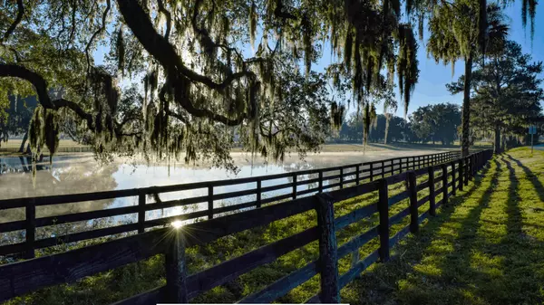 ocala buyer services