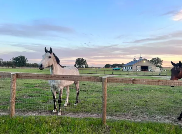 1500 SW 210TH AVE #BARN, Dunnellon, FL 34431