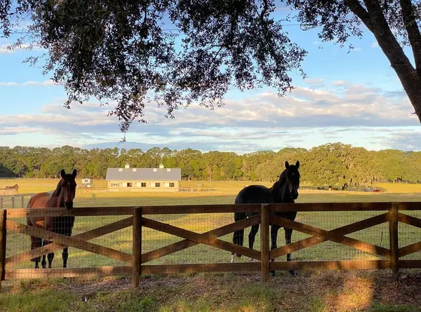 1500 SW 210TH AVE #BARN, Dunnellon, FL 34431
