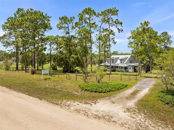13651 SE 73RD LN, Morriston, FL 32668