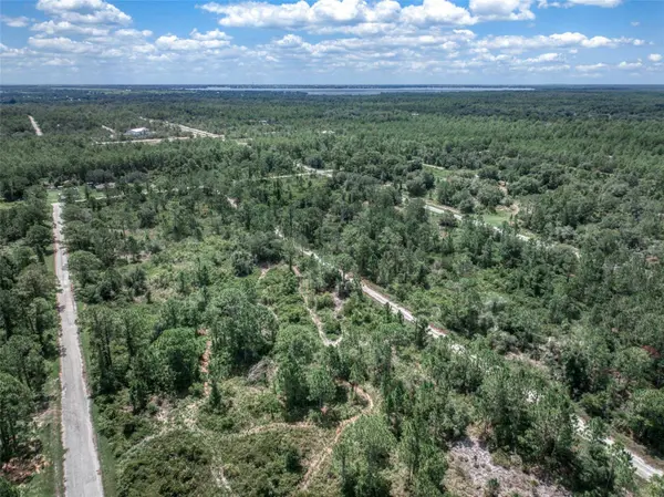 3341 & 3343 PHEASANT AVE, Lake Placid, FL 33852