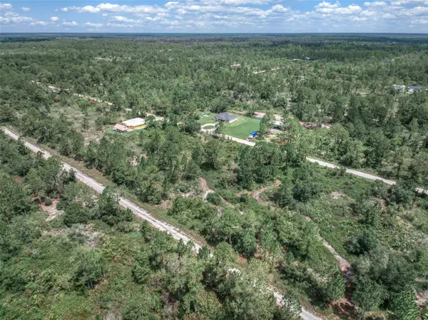 3341 & 3343 PHEASANT AVE, Lake Placid, FL 33852
