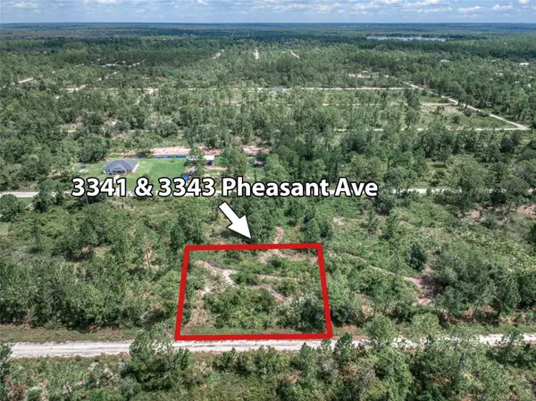 3341 & 3343 PHEASANT AVE, Lake Placid, FL 33852