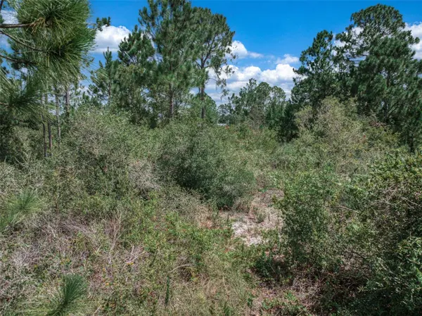 3341 PHEASANT AVE, Lake Placid, FL 33852