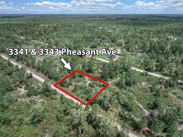 3341 & 3343 PHEASANT AVE, Lake Placid, FL 33852