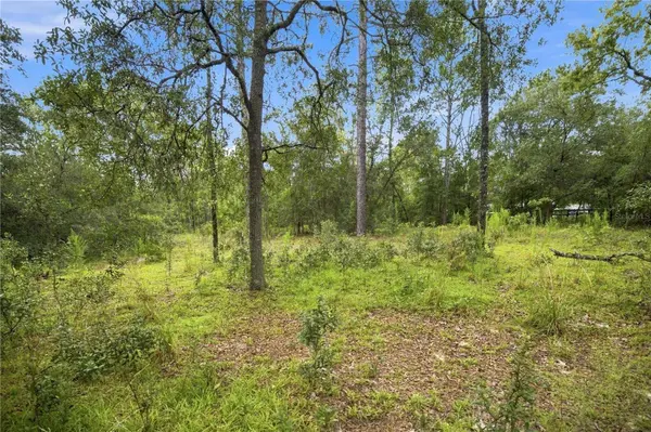 21350 SE 66TH ST, Morriston, FL 32668