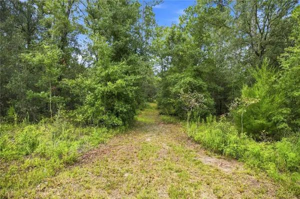 21350 SE 66TH ST, Morriston, FL 32668