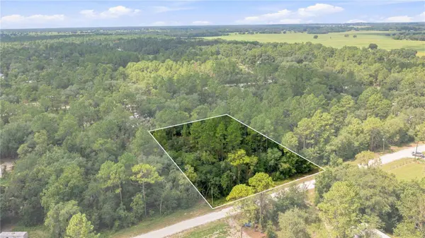 21350 SE 66TH ST, Morriston, FL 32668