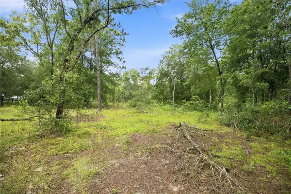 21350 SE 66TH ST, Morriston, FL 32668