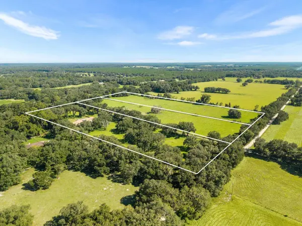 553 NE 205TH AVE, Williston, FL 32696