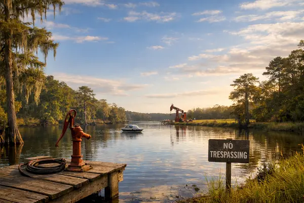 What Every Landowner Needs to Know,Karen Young