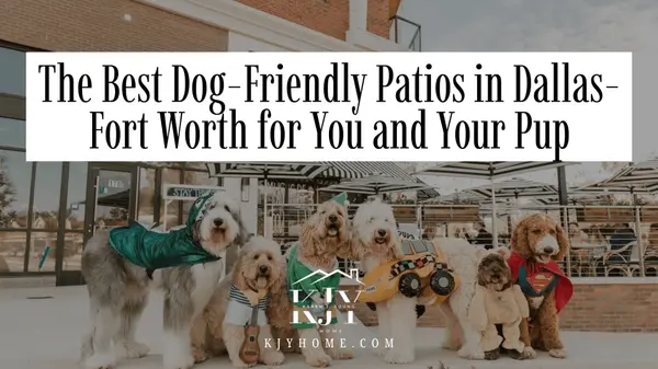 feature image of Your Guide to Dog-Friendly Patios in Dallas