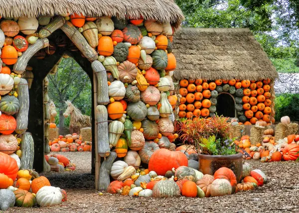 feature image of Ultimate DFW Fall Bucket List