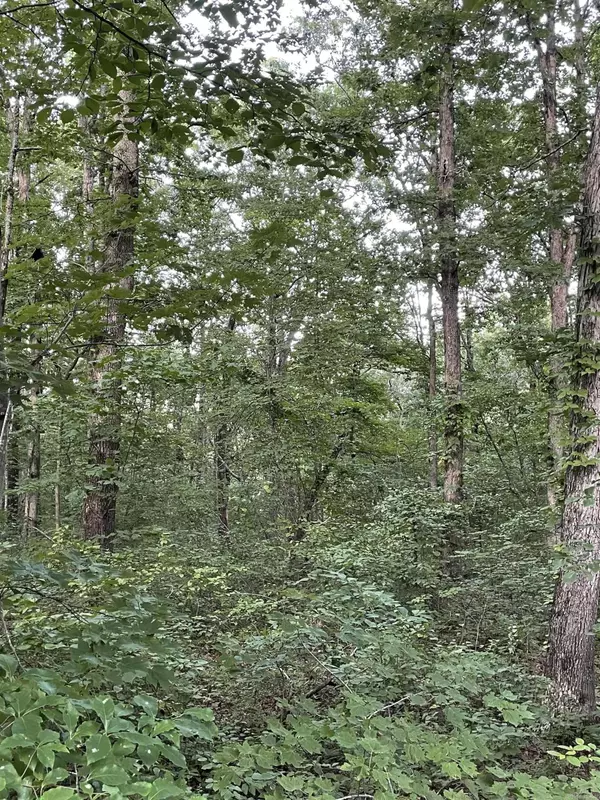 868 Watson, Clinton, AR 72031