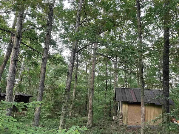 868 Watson, Clinton, AR 72031