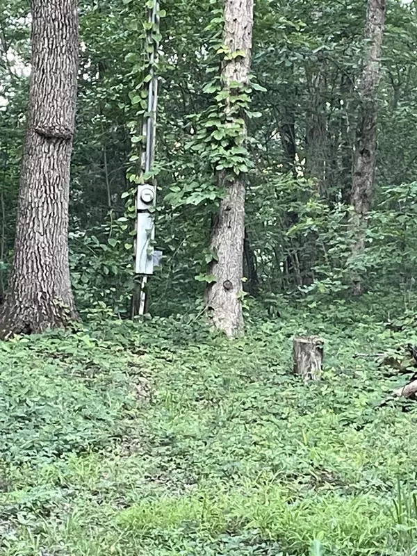 868 Watson, Clinton, AR 72031