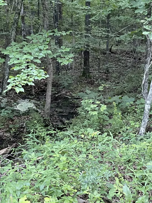 868 Watson, Clinton, AR 72031