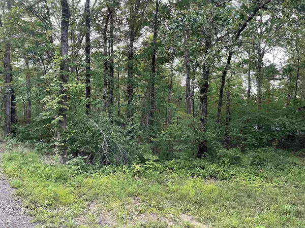 868 Watson, Clinton, AR 72031