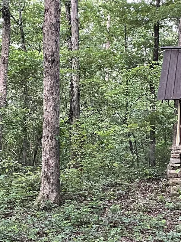 868 Watson, Clinton, AR 72031