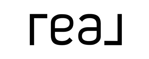 REAL BROKER LLC