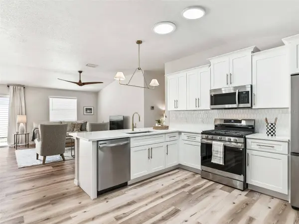 1245 JONESVILLE TER, The Villages, FL 32162