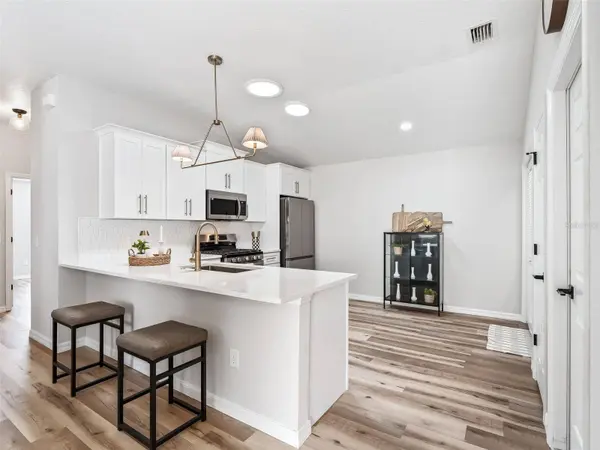 1245 JONESVILLE TER, The Villages, FL 32162