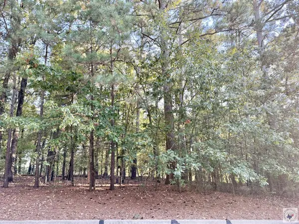403 Forest Lake Dr, Texarkana, TX 75503