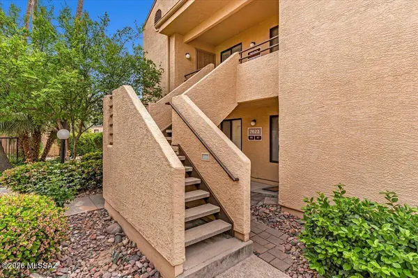 7623 E Callisto Cir #298