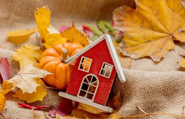 Gratitude, Grit, and Grout: A Slightly Unhinged Take on Buying & Selling South of Raleigh