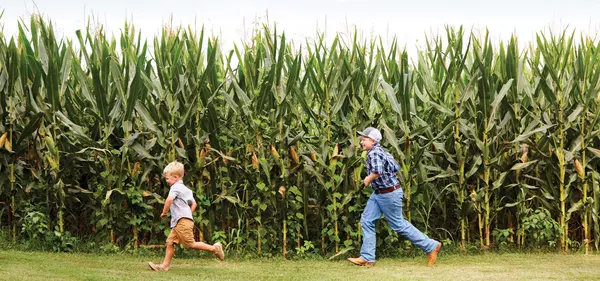 Small Town Charm and Big Dreams: Why Coats, NC Might Just Be Your Next Home Sweet Home!