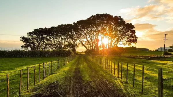 An Unfiltered Guide to Country Living: What You Need to Know Before You Move