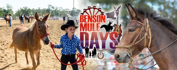 So You've Decided to Relocate... To Benson, NC?!?