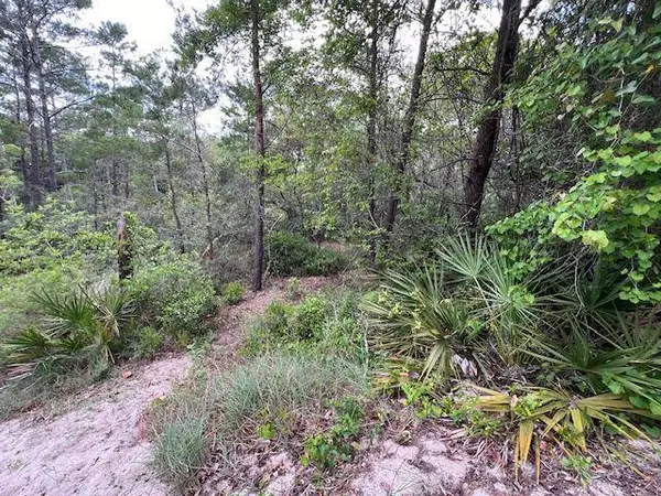 Lot 5 W Okeechobee, Santa Rosa Beach, FL 32459