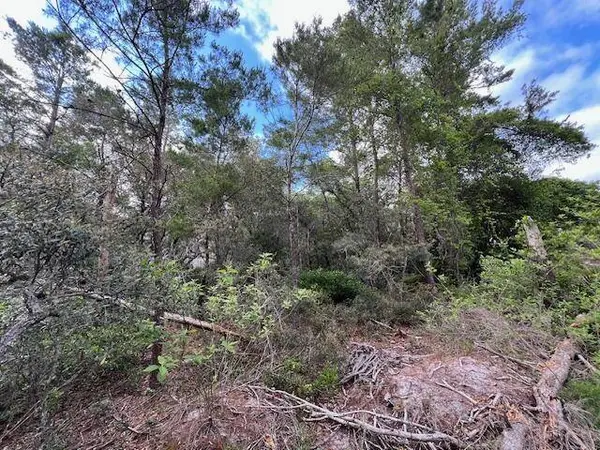 Lot 5 W Okeechobee, Santa Rosa Beach, FL 32459