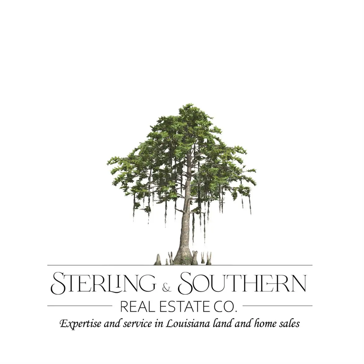 SSRE logo