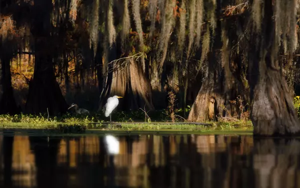 shutterstock_2097248833