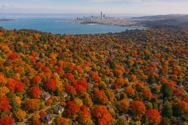 November 2025 Update: San Mateo & Santa Clara County,Maylin Chang