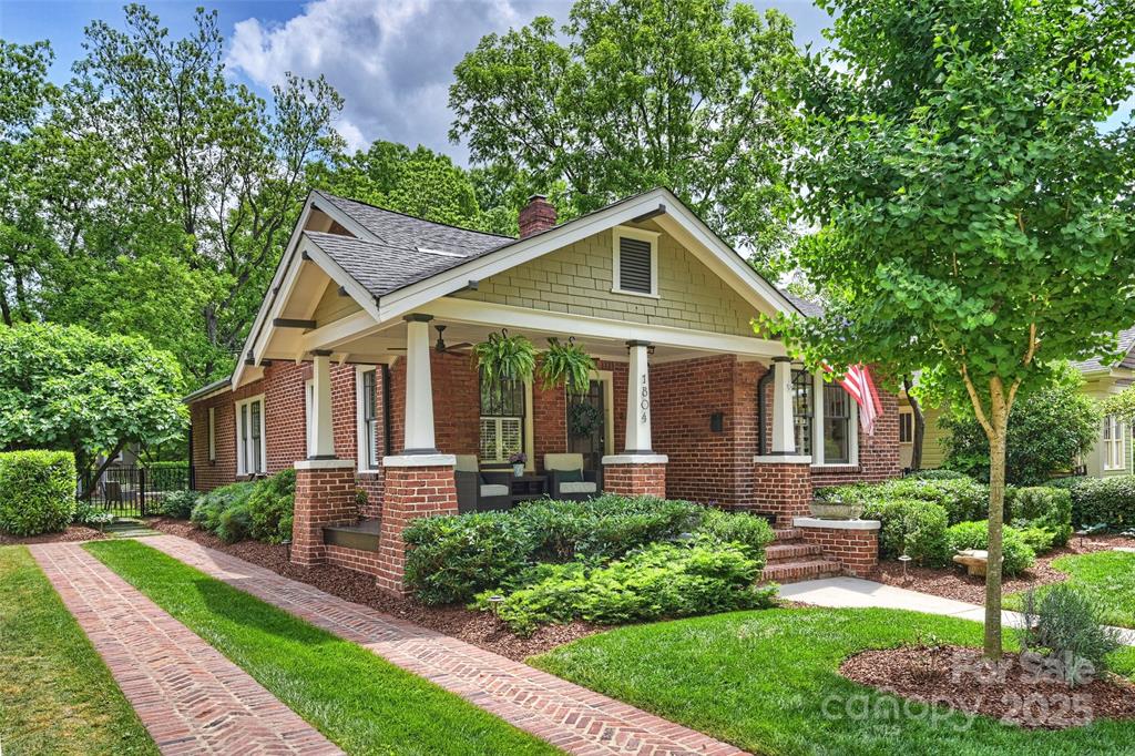 Plaza midwood classic