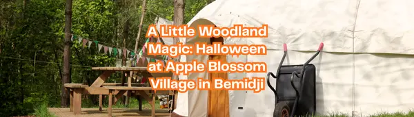 A Little Woodland Magic: Halloween at Apple Blossom Village in Bemidji