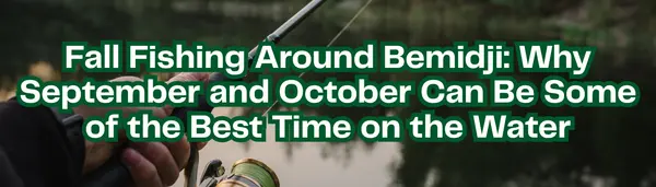 Fall Fishing Around Bemidji MN: Walleye, Pike, Muskie & More